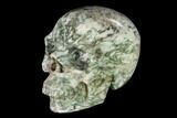 Realistic, Polished Tree Agate Skull #150875-2